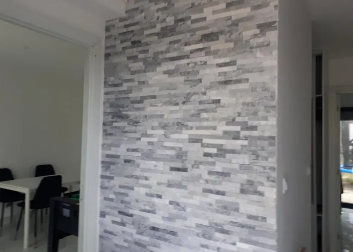 Ali 사비니-르-탕플